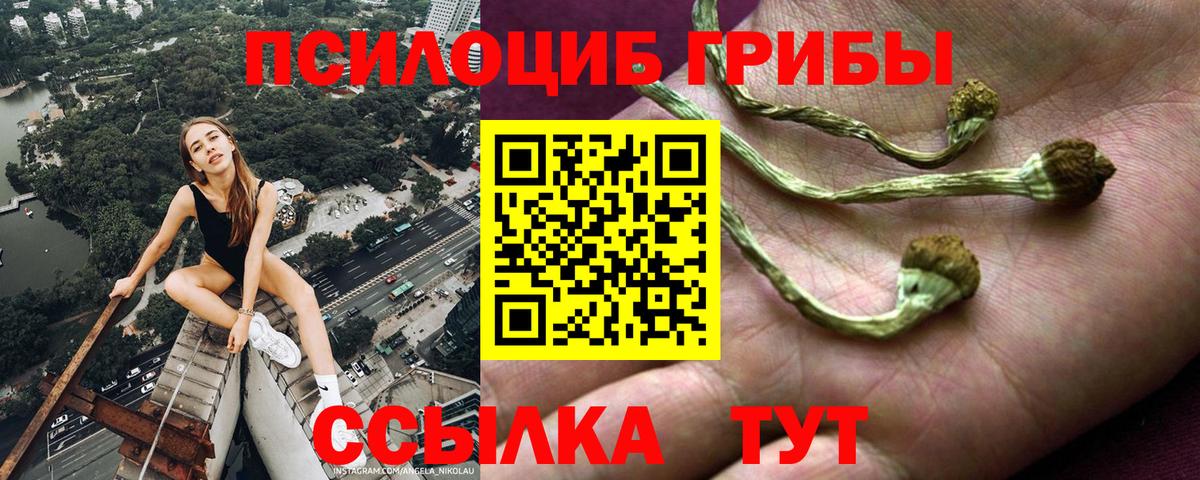 Псилоцибиновые грибы прущие грибы Усолье-Сибирское
