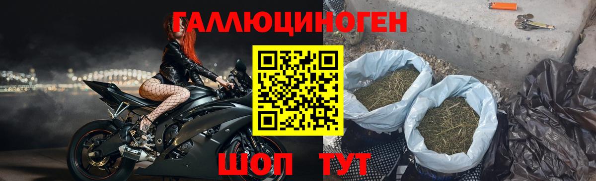 Усолье-Сибирское  Псилоцибиновые грибы Cubensis  Вход с VPN  Псилоцибиновые грибы ЛСД 